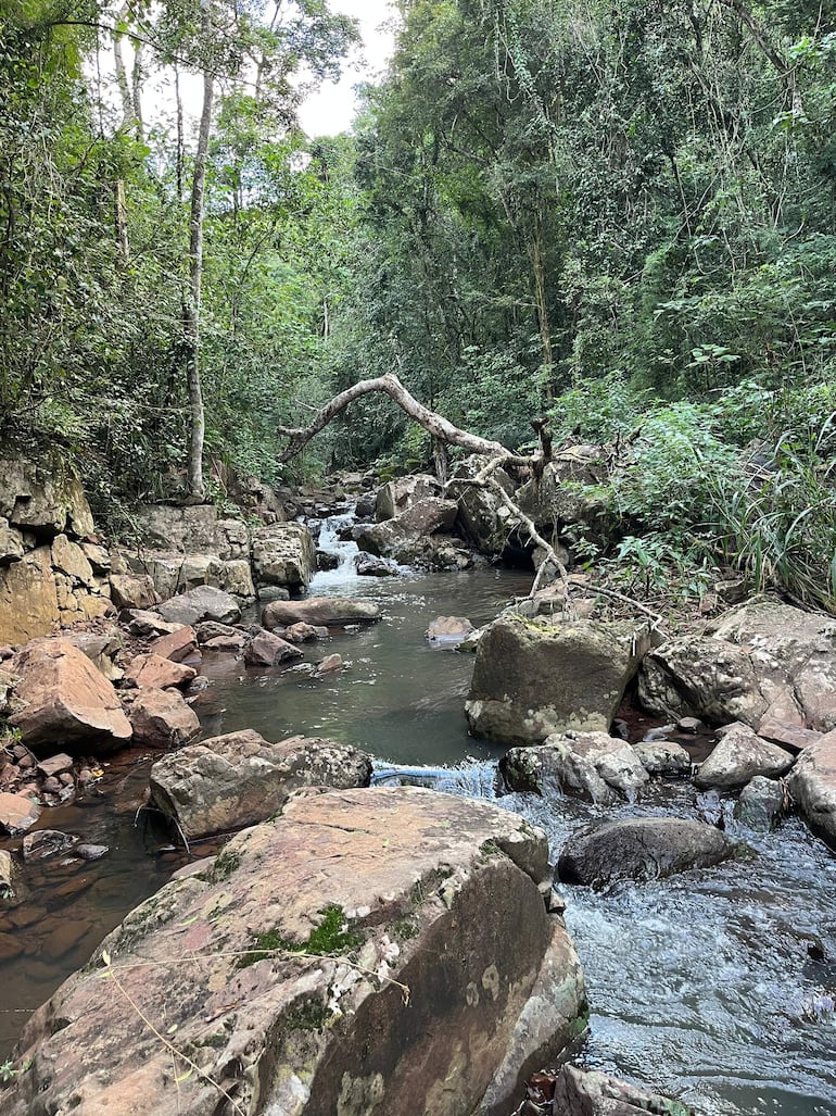 Para llegar a la cascada escondida se debe seguir este curso de agua sobre piedras.