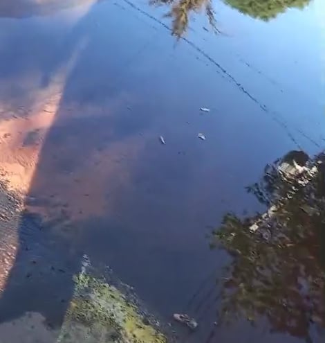 Importante pérdida de agua en Luque.