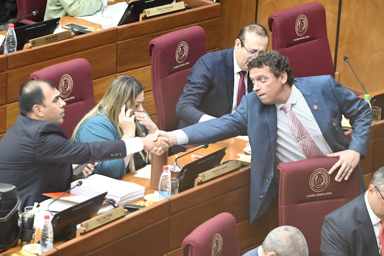 Sesión del Senado. 