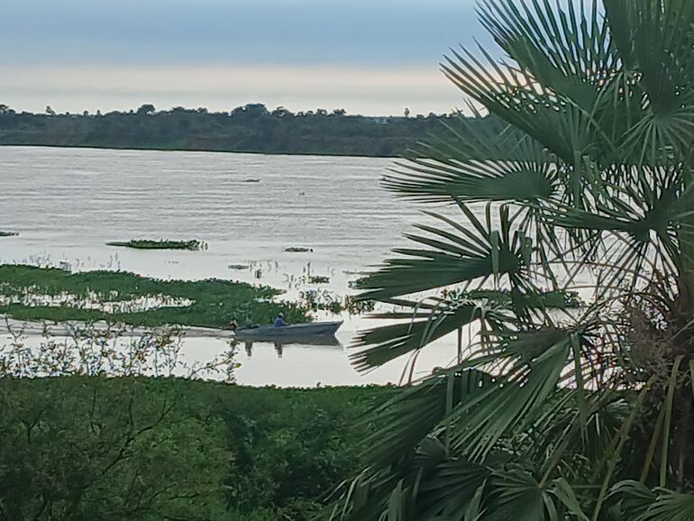 Algunos riachos alimentadores del río, están recuperando su vertiente de agua, aunque la gran mayoría continúa aún secas.