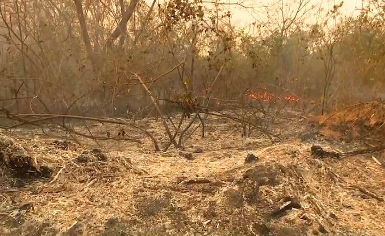 Incendio forestal en el Chaco paraguayo.