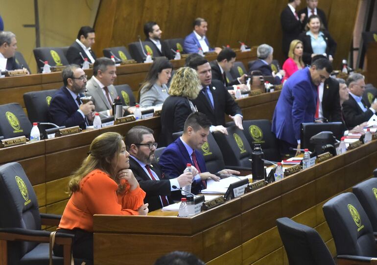 En sesión ordinaria de hoy, la Cámara de Diputados debe tratar el proyecto de ley que obliga a la preservación de datos para combatir delitos como la pornografía infantil.