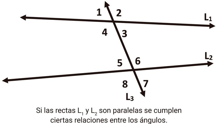 Ángulos entre rectas cortadas por una transversal.