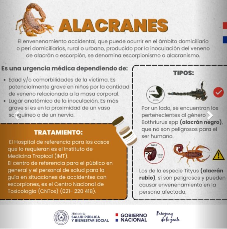 Detalles sobre los alacranes y su acción en el  organismo. (Fuente Ministerio de Salud).