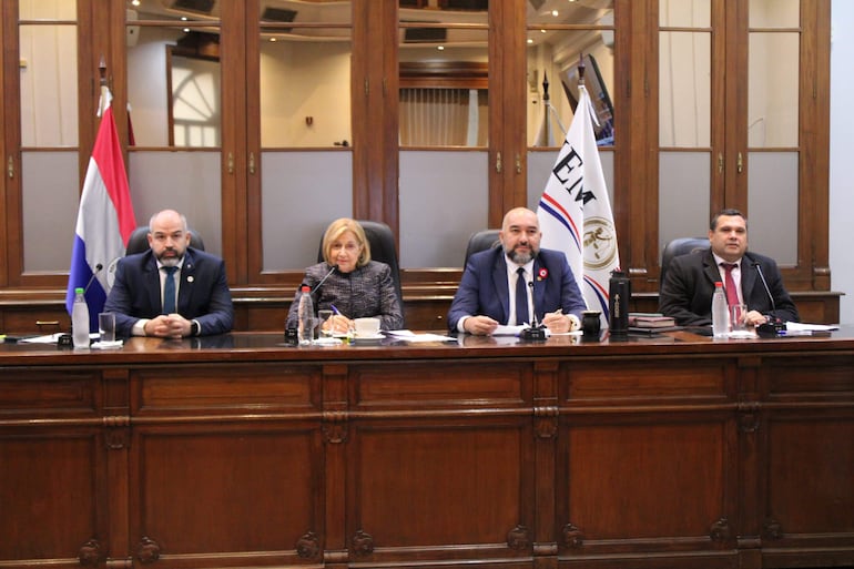 Enrique Berni Brítez, Alicia Pucheta, Orlando Arévalo y Derlis Maidana participaron de la sesión del JEM de forma presencial.