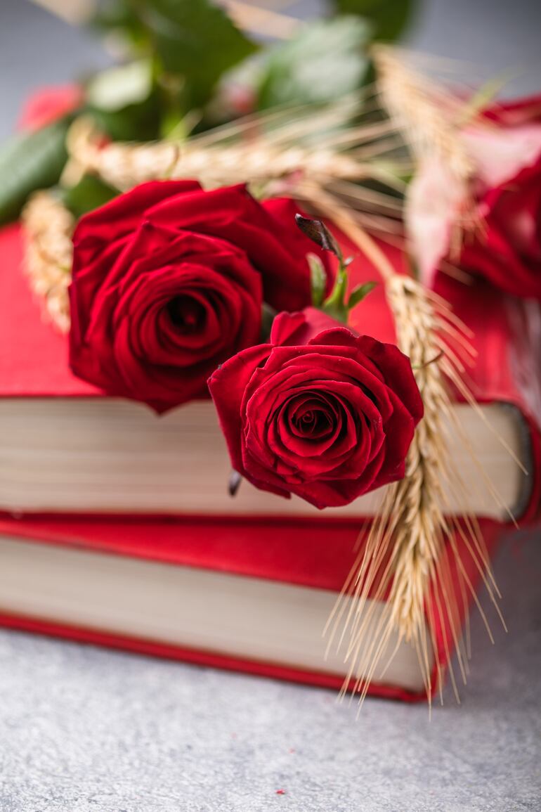 La rosa y los libros son los símbolos de las celebraciones en honor a Saint Jordi.