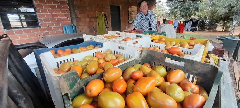 La Productora y comerciante, Rosalina Duarte, con sus tomates sin poder vender.