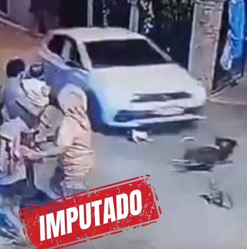 Imputan por zoocidio a un conductor en San Estanislao tras atropellar y matar a dos perros