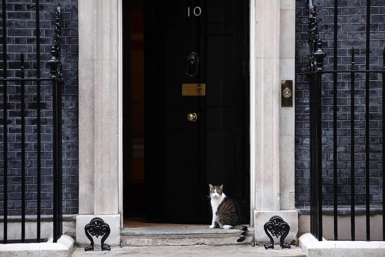 Entre las hazañas de Larry se cuenta haber ahuyentado valientemente a un  zorro, de los miles que hay en Londres, que se había atrevido a aventurarse en  su territorio, mientras que en la Nochebuena de 2020 atacó a una paloma  distraída. 