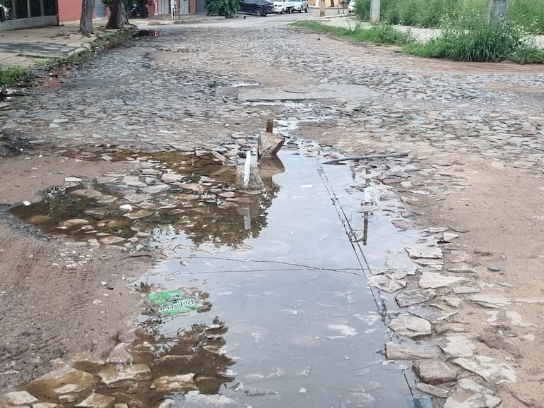 Un caño subterráneo de la Essap pierde agua hace días en la calle Francis Morices y Teodosio González.