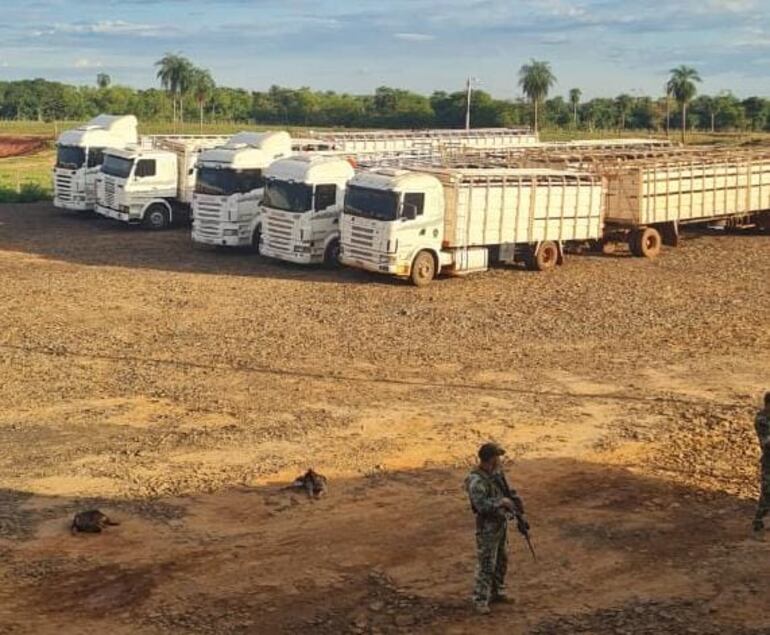 Camiones incautados durante los primeros allanamientos y que eran usados para mover la droga.