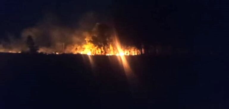 Incendio de grandes proporciones se está generando en la zona de Pirayú.