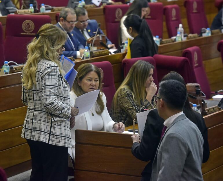 La diputada Cristina Villalba (de blanco) apoyó la postergación por dos semanas. Fabiana Souto, sentada a su lado, de vuelta no opinó en un tema vinculado a departamento.