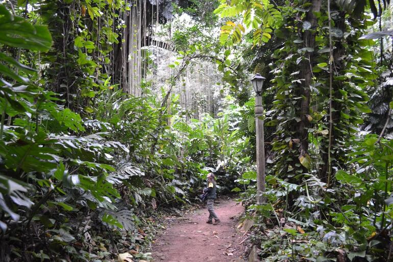 Tati Yupi, un parque natural, con mucho cuidado, en el entorno del reservorio de Itaipú,  