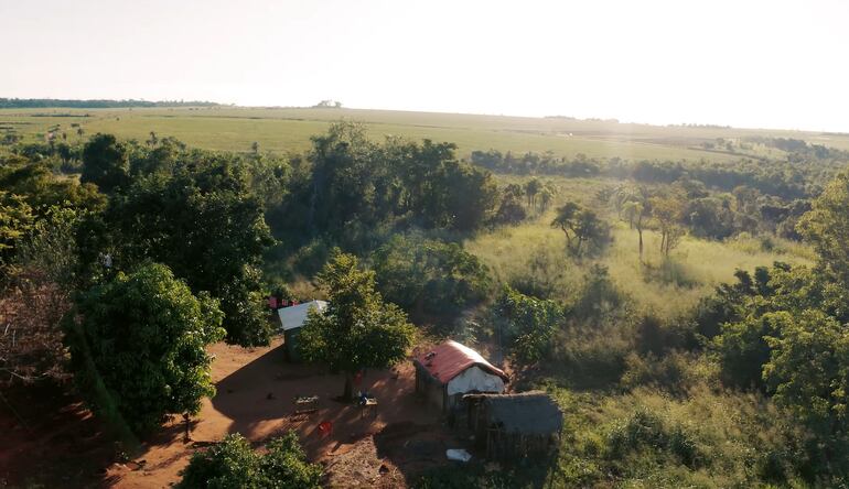 Imagen aérea de parte de los bosques de la comunidad indígena Ava Guaraní en San Pedro. En el fondo, los cultivos extensivos de soja que rodean la propiedad.