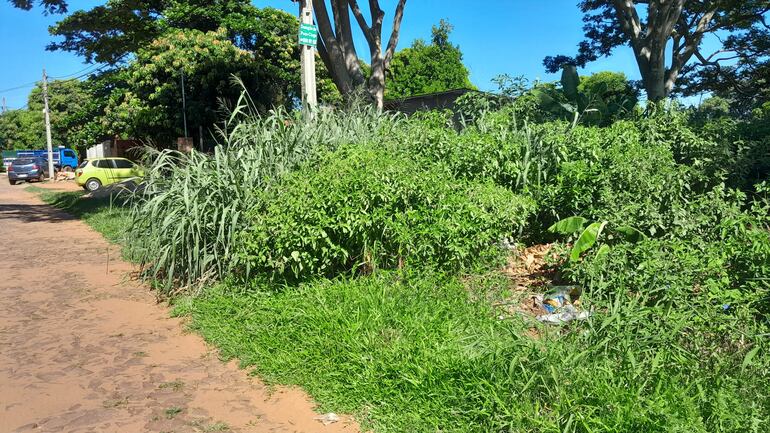 Sobre la calle 10 de agosto del barrio Vista Alegre de Ñemby proliferan criaderos de mosquitos. Predios baldíos sucios y basura por doquier.