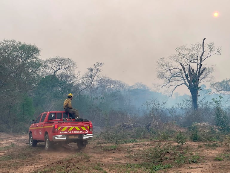 Bomberos llevan semanas trabajando para controlar los incendios forestales en el Chaco.