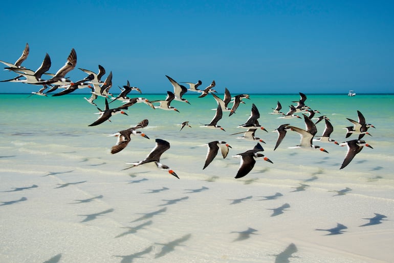 Isla Holbox, México.