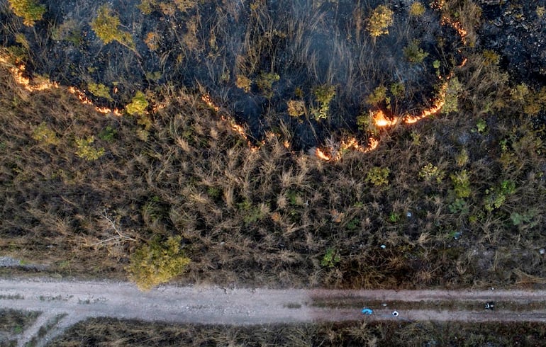 Científicos alertan de las consecuencias de vivir a crédito con el planeta:   cambio climático hasta la desaparición de especies y ecosistemas.