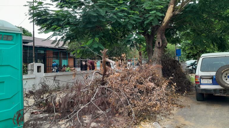 Ramas y basura acumulada en a vereda del Centro de salud de San Antonio.