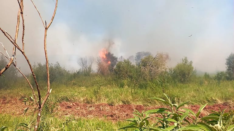 Más de 50 hectáreas de pastizal, zona boscosa y esteral se quemaron desde temprana horas de este martes en San Juan Bautista, Misiones.