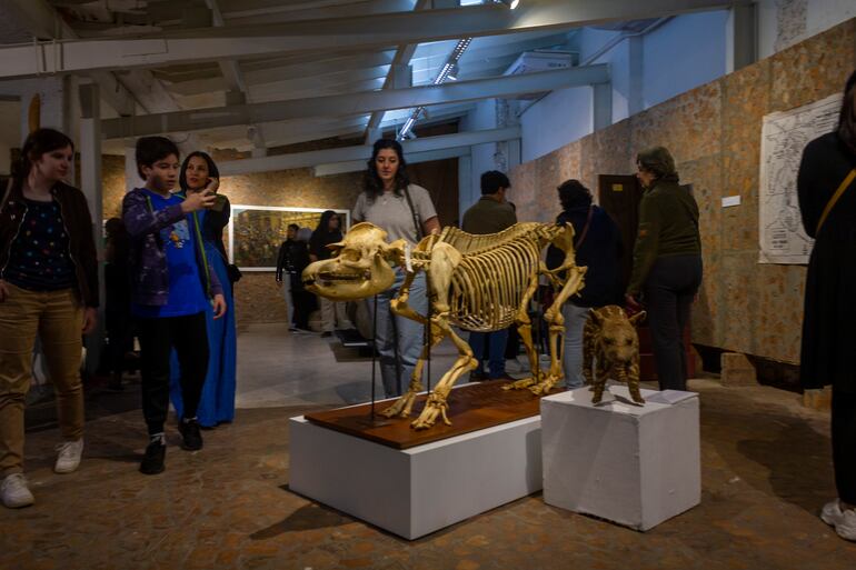 Se realizará una nueva edición de "Los museos se muestran".