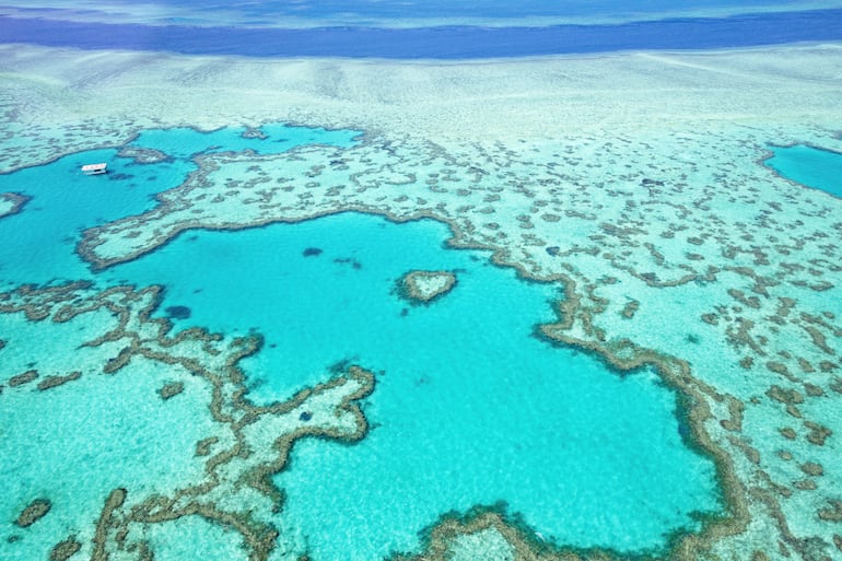 Gran Barrera de Coral en Australia.