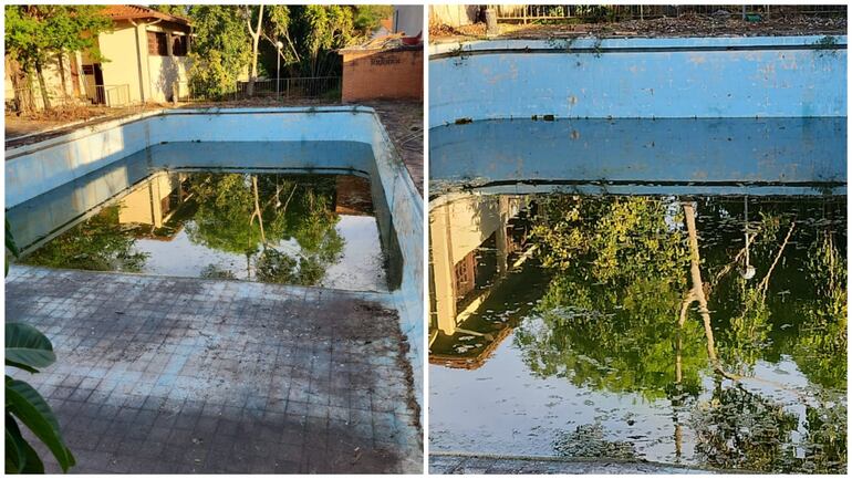 Preocupa a los vecinos dos propiedades que tienen piscinas abandonadas que se convierten en grandes criaderos de mosquitos.