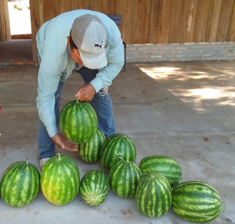 La venta del producto se realiza preferentemente en el mercado local 