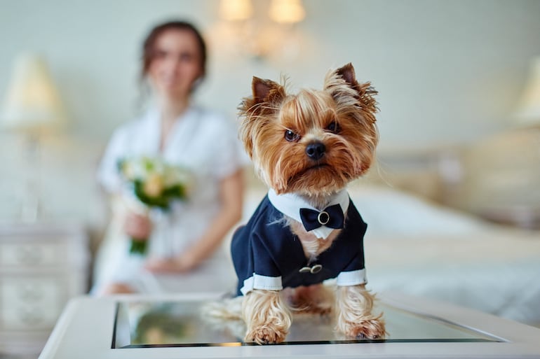 Una novia y su perrito posan juntos.