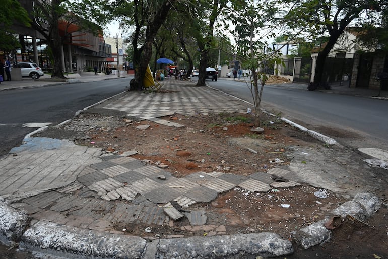 Paseo central ubicado sobre la avenida Carlos A. López, zona del Palacio de Justicia.