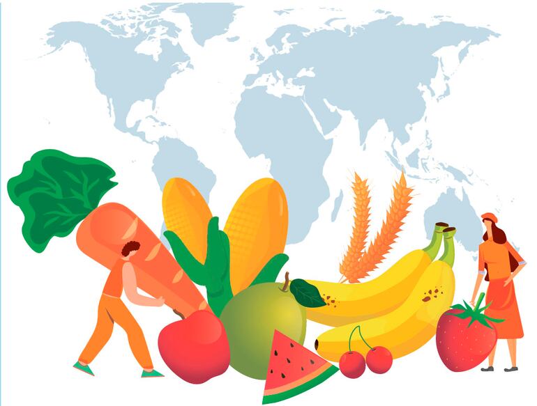 DÍA MUNDIAL DE LA ALIMENTACIÓN