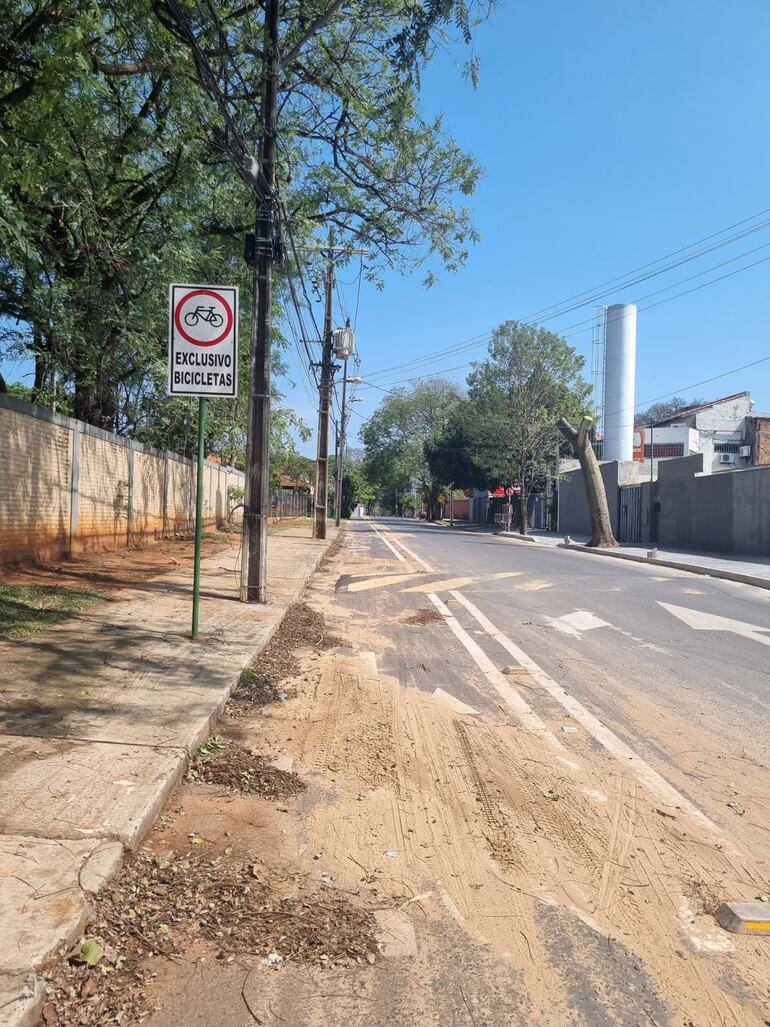 La bicisenda de la calle Dr. Benigno Ferreira está repleta de tierra y hojas justo donde se conecta a la avenida Boggiani.