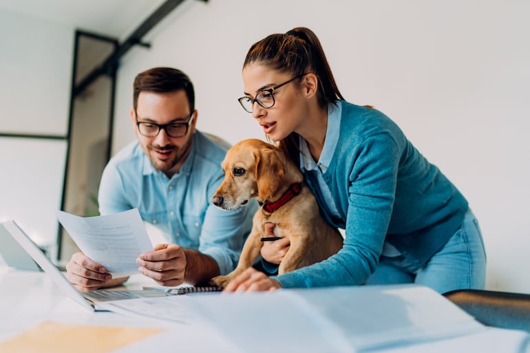 El perro puede ir a la oficina, pero debe haber reglas claras al respecto.