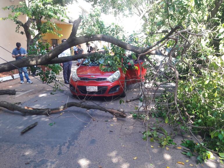 Árbol caído sobre un vehículo en el centro de Asunción.