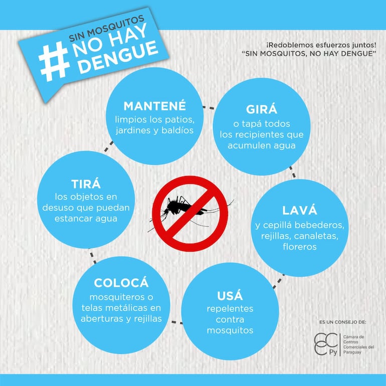 Afiche de la campaña "Sin mosquitos no hay dengue" de la Cámara de Centros Comerciales del Paraguay.