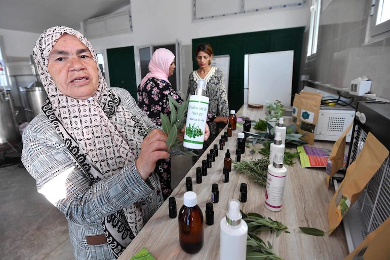 Mabrouka Athimni, quien lidera un colectivo local de mujeres recolectoras de hierbas llamado "Al Baraka" ("Bendición"), muestra aceite extraído de plantas en un laboratorio en la aldea de Tbainia, cerca de la ciudad de Ain Drahem, en el noroeste de Túnez.