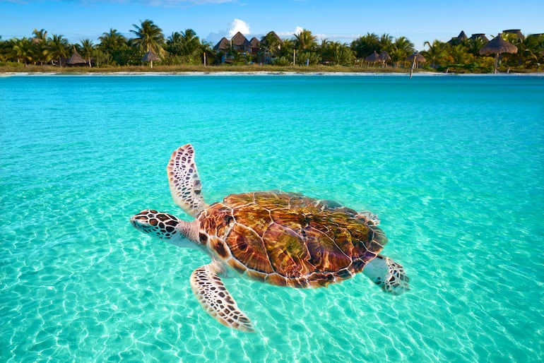 Isla Holbox, México.