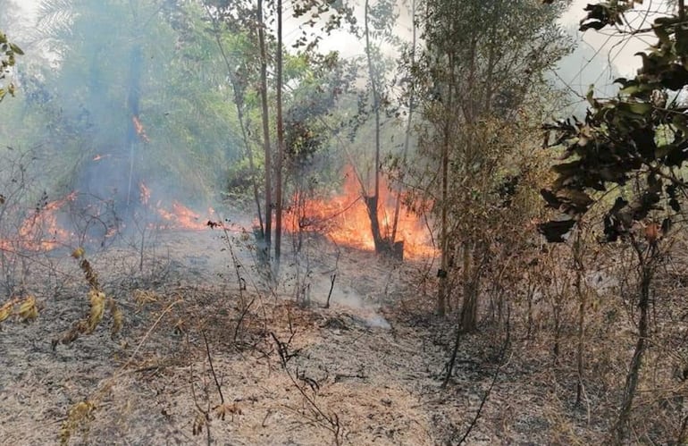 Fuego activo dentro de la reserva de recursos manejados de la cordillera del Ybytyruzú, Guairá.