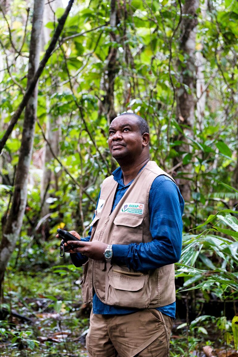 Inza Koné en el bosque de Tanoé-Ehy estudia y ayuda a proteger primates en peligro de extinción. © Rolex/Nyani Quarmyne.
