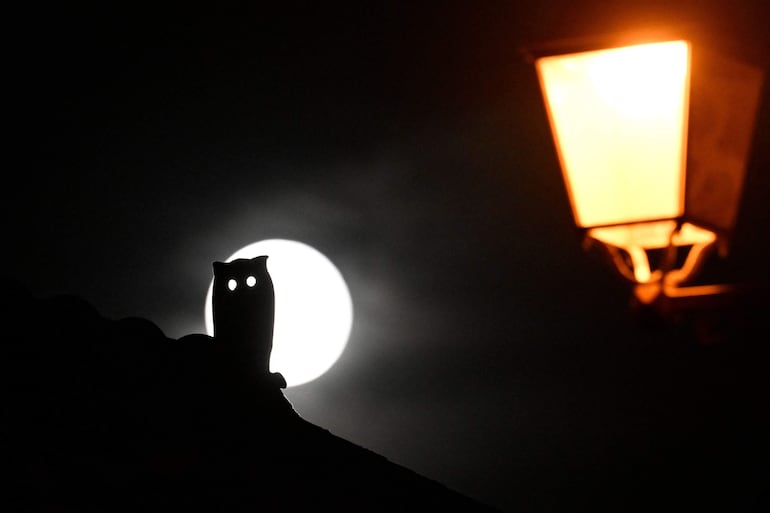 La festividad de Halloween es cada día más popular en el mundo.