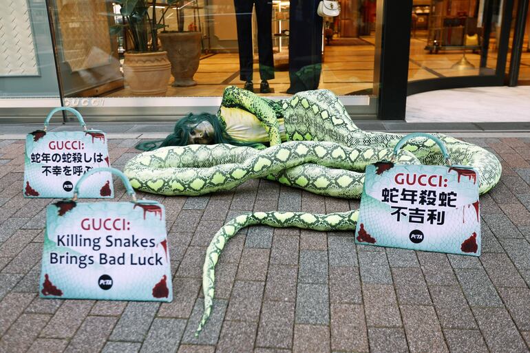 Tokyo (Japan), 28/01/2025.- Una activista del grupo People's Ethical Treatment of Animals (PETA) protesta contra la cruel venta de pieles de reptiles en el exterior de la tienda insignia de Gucci en el distrito comercial de Ginza, en Tokio (Japón).