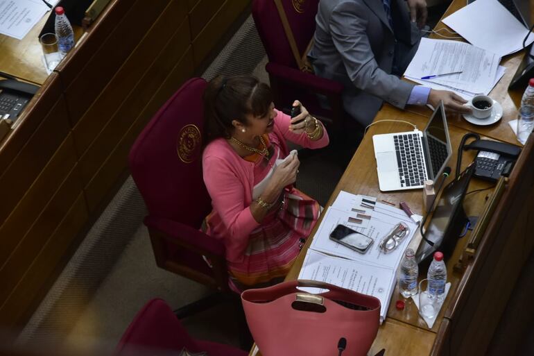 Mujer adulta con vestido y saco rosado sentada en una silla con un escudo. Sobre la mesa tiene una computadora, un teléfono, botellas de agua. un café, varios documentos, lentes y agua.