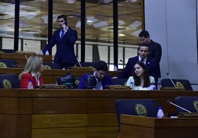 Sesión de la Cámara de Diputados. 