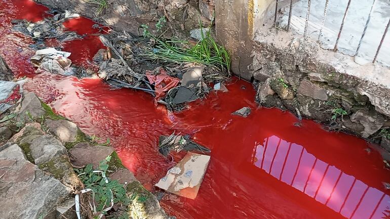 El agua de color rojo se expandió por varias cuadras hasta llegar al arroyo San Lorenzo.