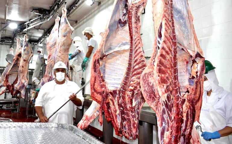 La ARP celebró la vigencia del decreto que clasifica y tipifica la carne bovina, ya que unifica criterios de evaluación.