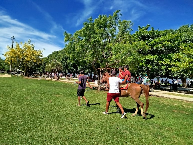 Paseos a caballo.