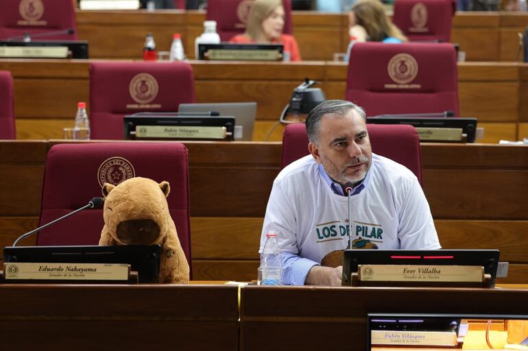 El senador Ever Villalba llego acompañado de un carpincho de peluche  para pedir la investigación sobre la matanza de animales en Ñeembucú.