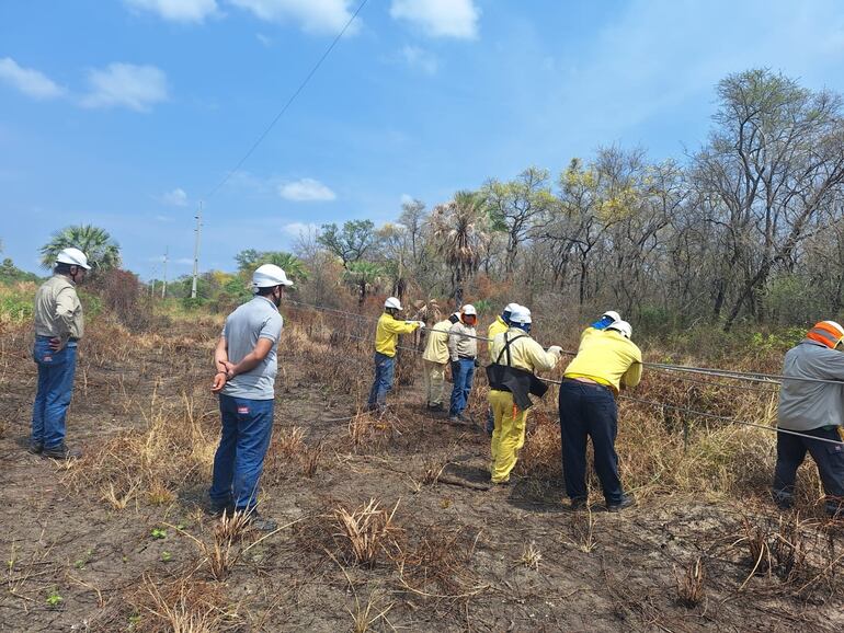 Personal de la ANDE durante trabajo de mantenimiento de línea en el Alto Paraguay, aún así los servicios no mejoran.