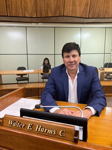 El diputado Walter Harms, en una foto captada dentro de la sala de sesiones (archivo).